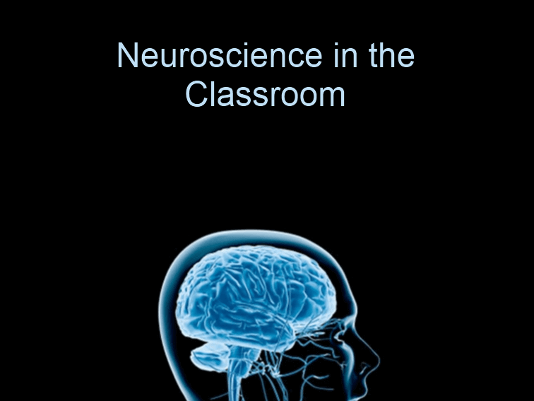 即将到来的纪录片探索以脑为目标的教学模型