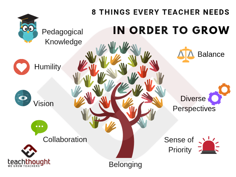 每个教师需要8件事以发展